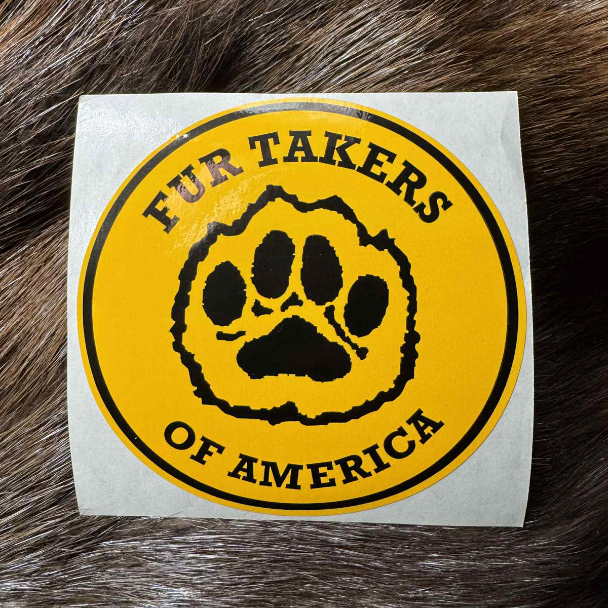 4" FTA Window Decal