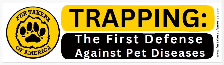 First Defense Bumper Sticker