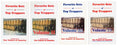 Favorite Sets of Top Trappers Complete Set of 4 Books